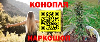 ALPHA PVP Аргун