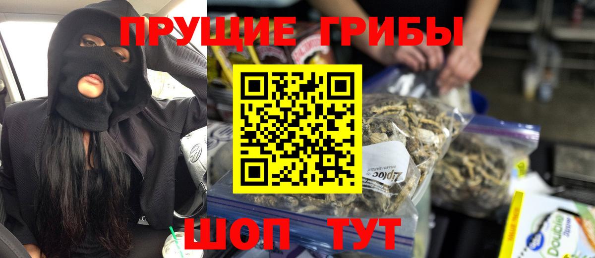 Псилоцибиновые грибы прущие грибы Благодарный