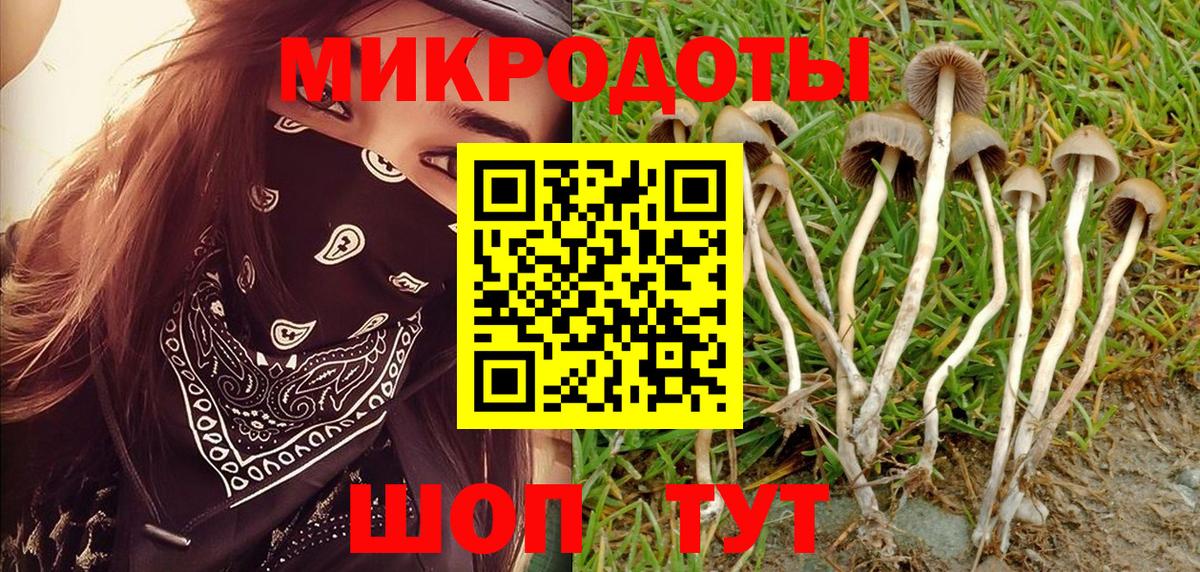 МЕФ Благодарный